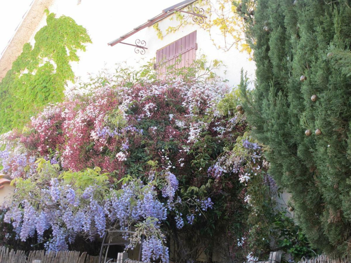 Casa-Tena-Sorède Εξωτερικό φωτογραφία