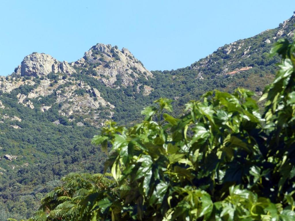Casa-Tena-Sorède Δωμάτιο φωτογραφία